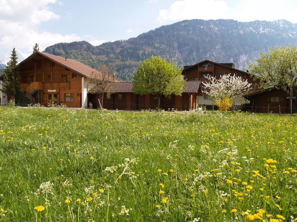 Salzano Basic Rooms Интерлакен Номер фото